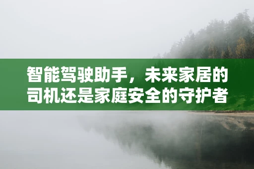 智能驾驶助手，未来家居的司机还是家庭安全的守护者？