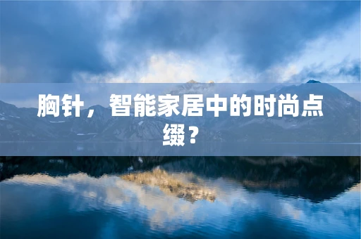 胸针，智能家居中的时尚点缀？