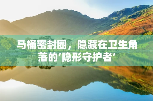 马桶密封圈，隐藏在卫生角落的‘隐形守护者’