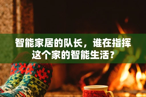 智能家居的队长，谁在指挥这个家的智能生活？