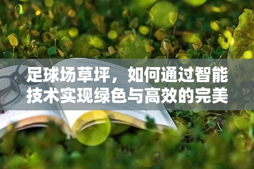 足球场草坪，如何通过智能技术实现绿色与高效的完美结合？