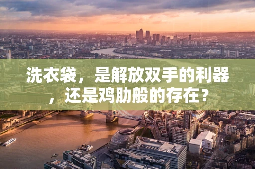 洗衣袋，是解放双手的利器，还是鸡肋般的存在？