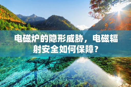 电磁炉的隐形威胁，电磁辐射安全如何保障？