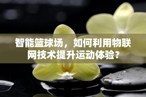 智能篮球场，如何利用物联网技术提升运动体验？