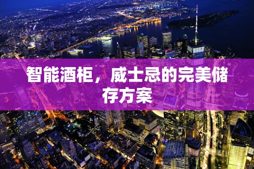智能酒柜，威士忌的完美储存方案