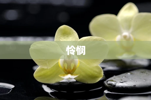 怜悯