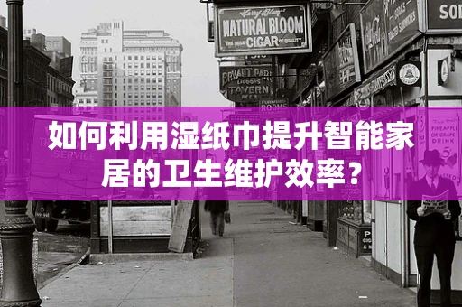 如何利用湿纸巾提升智能家居的卫生维护效率？
