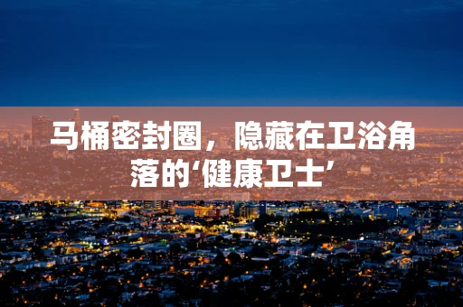 马桶密封圈，隐藏在卫浴角落的‘健康卫士’