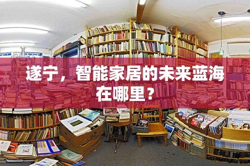 遂宁，智能家居的未来蓝海在哪里？