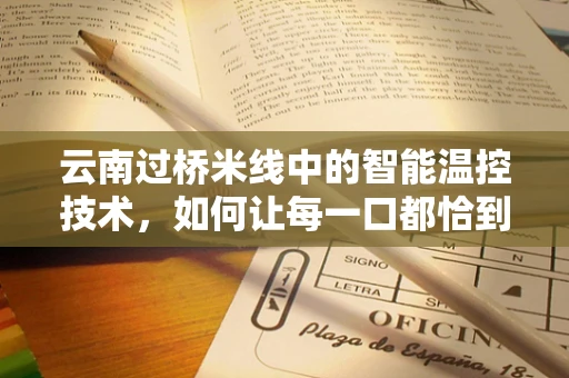 云南过桥米线中的智能温控技术，如何让每一口都恰到好处？