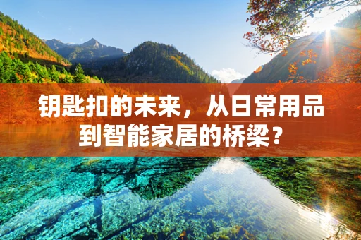 钥匙扣的未来，从日常用品到智能家居的桥梁？