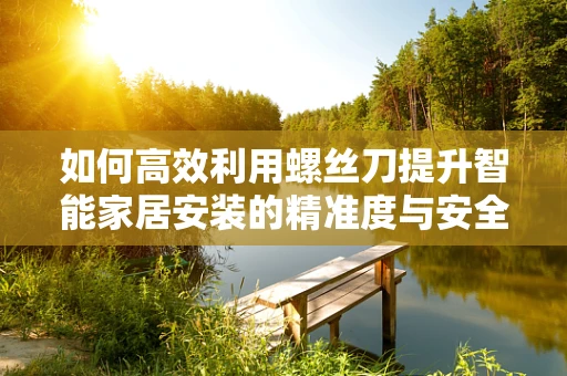 如何高效利用螺丝刀提升智能家居安装的精准度与安全性？