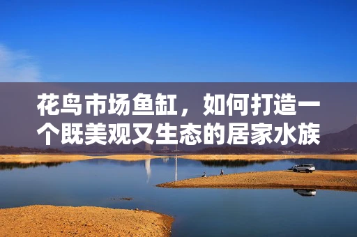 花鸟市场鱼缸，如何打造一个既美观又生态的居家水族箱？