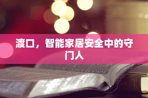 渡口，智能家居安全中的守门人