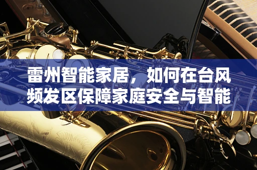 雷州智能家居，如何在台风频发区保障家庭安全与智能生活的平衡？