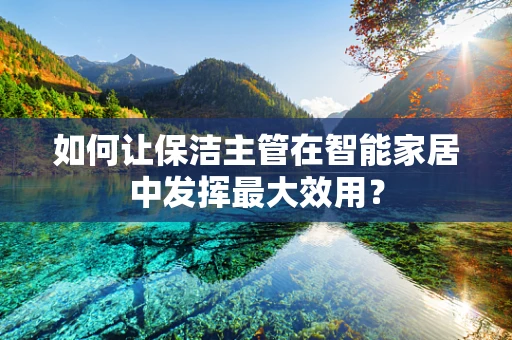 如何让保洁主管在智能家居中发挥最大效用？